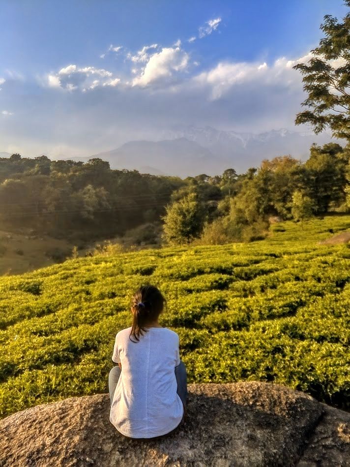 Photo of Palampur: An everlasting affair with the hills by nidhi patnaik