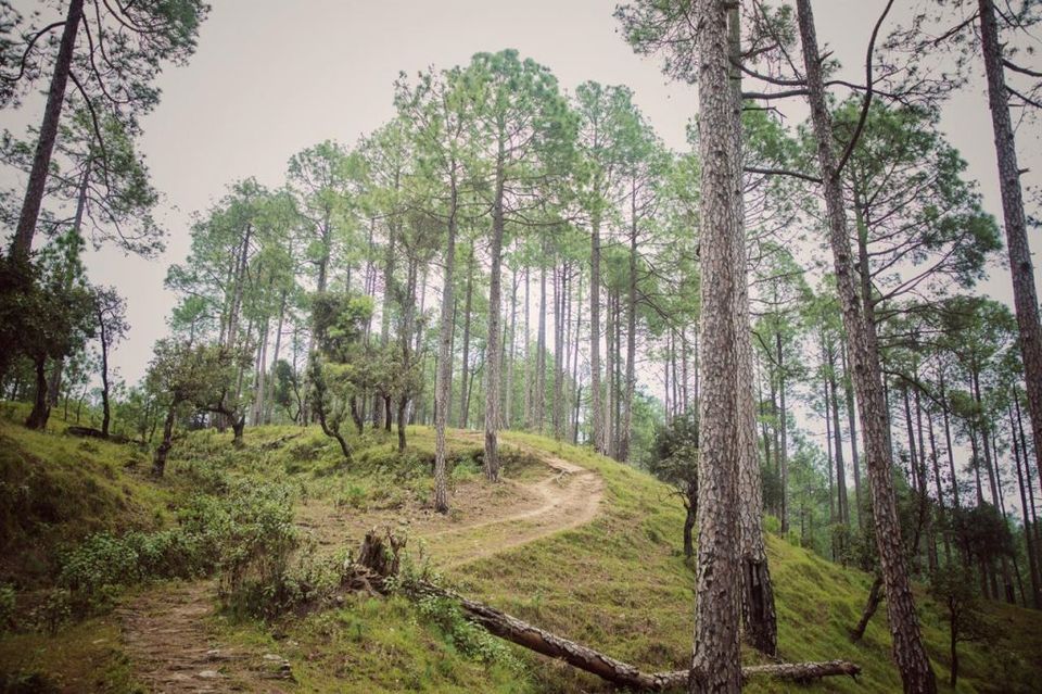 Photo of Ranikhet! by nidhi patnaik