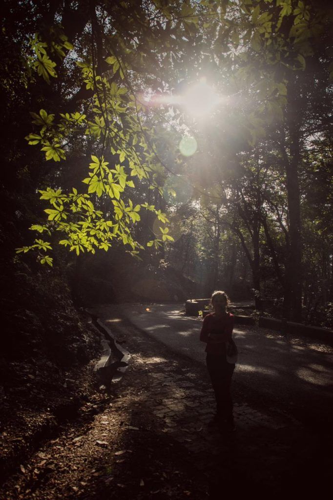 Photo of Ranikhet, Uttarakhand, India by nidhi patnaik