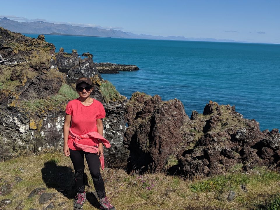 Photo of Arnarstapi, Iceland by nidhi patnaik