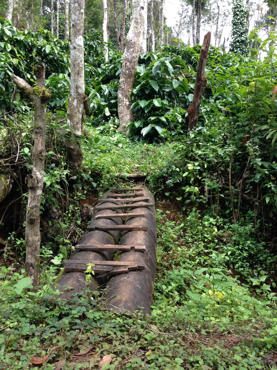 Photo of Kuduremukha, Kuduremukha, Karnataka, India by Kamal Tanwani
