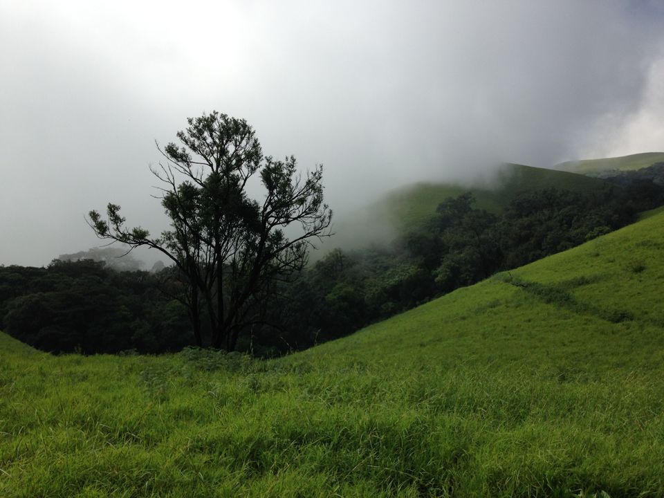 Photo of Bloody Kudremukh 4/12 by Kamal Tanwani