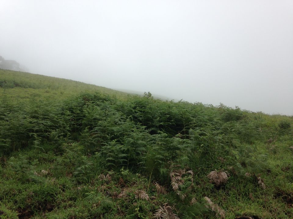 Photo of Bloody Kudremukh 6/12 by Kamal Tanwani