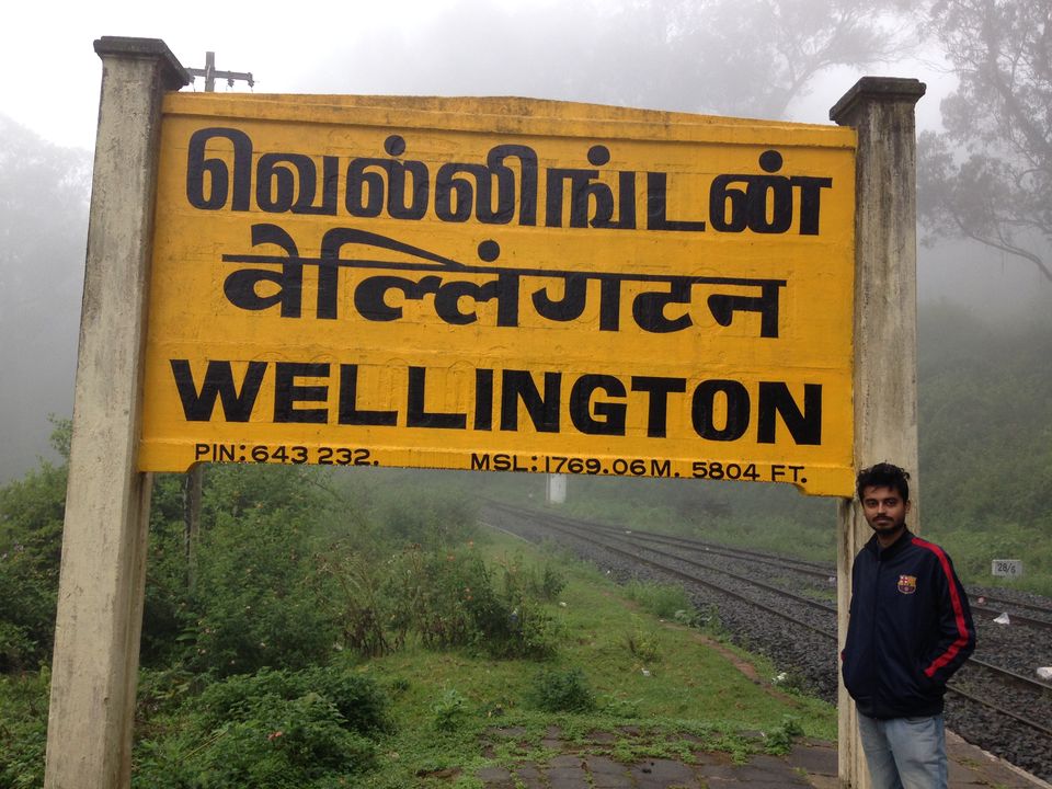 Photo of Love in Wellington 5/18 by Kamal Tanwani