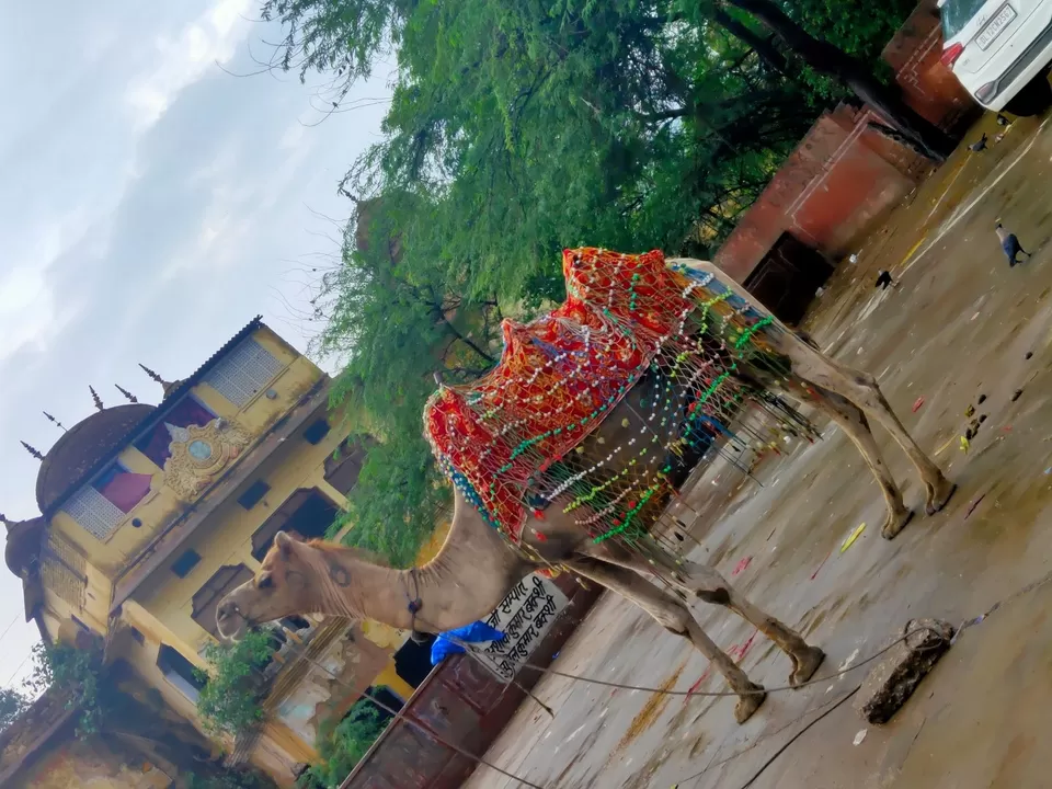 Photo of Jaipur by Medha Chaudhari