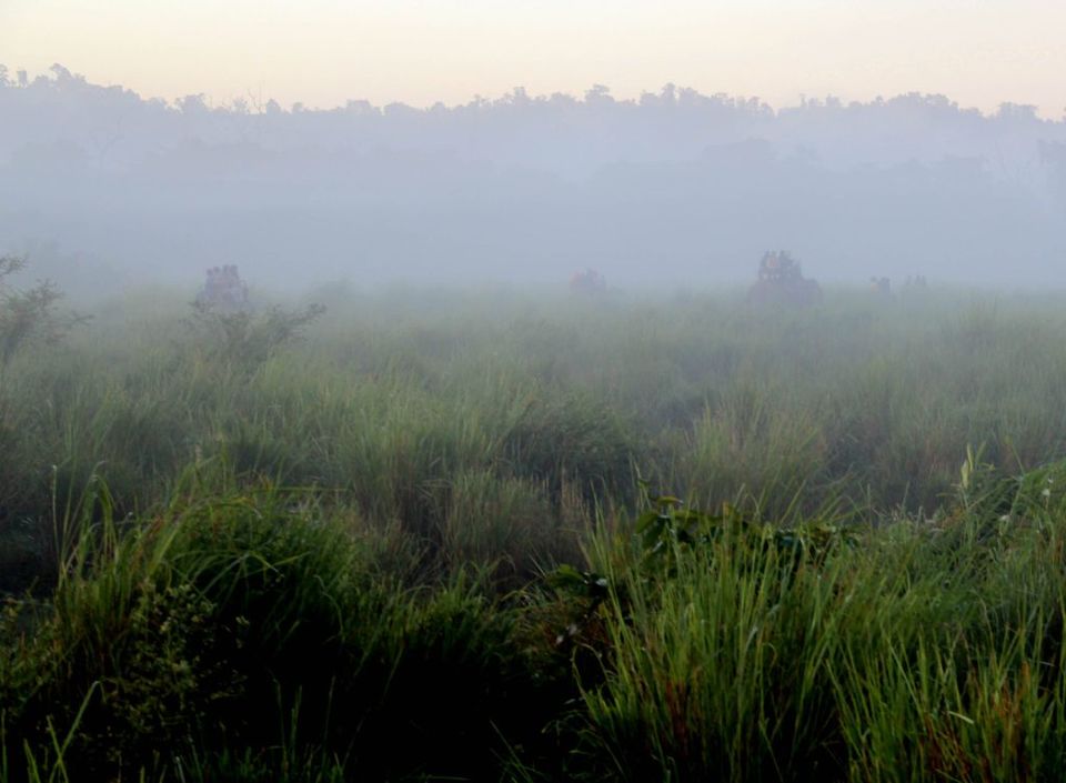 Photo of A Trip to Kaziranga National Park and Majuli- the World's biggest River Island by kritidipta Lahkar