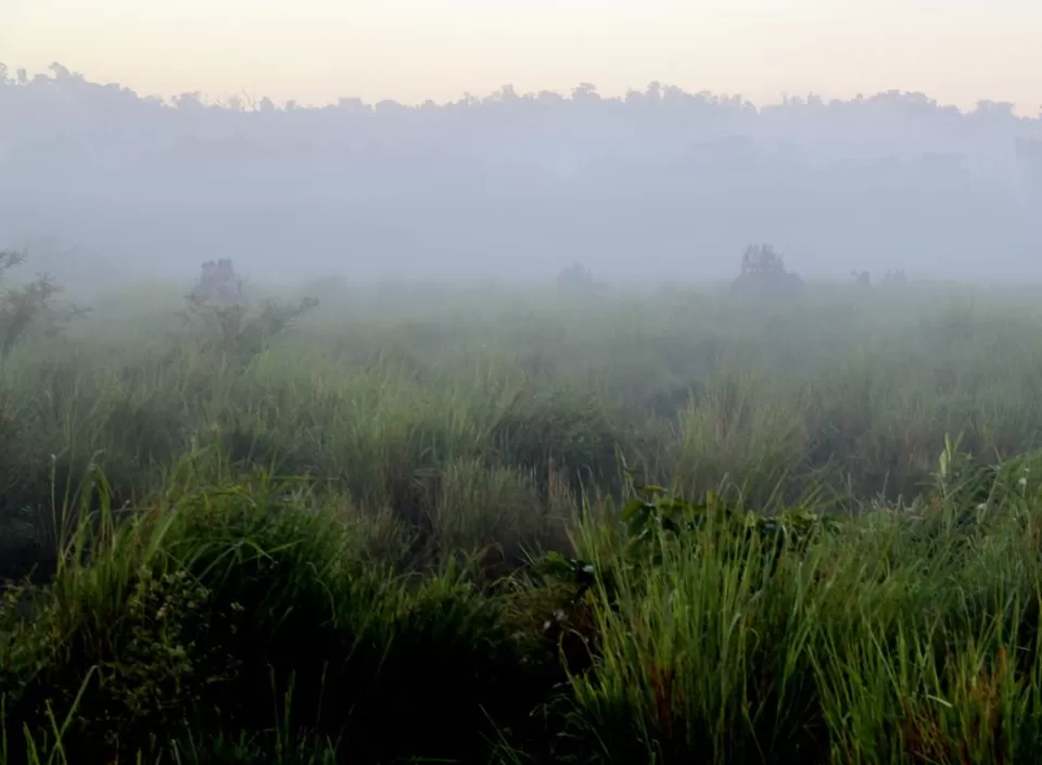 Photo of A Trip to Kaziranga National Park and Majuli- the World's biggest River Island by kritidipta Lahkar