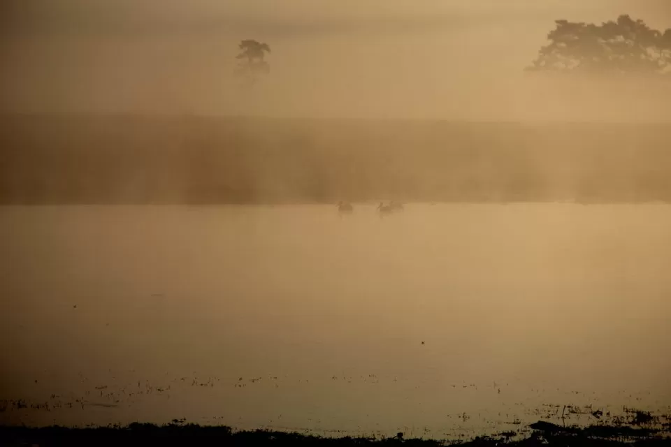 Photo of A Trip to Kaziranga National Park and Majuli- the World's biggest River Island by kritidipta Lahkar