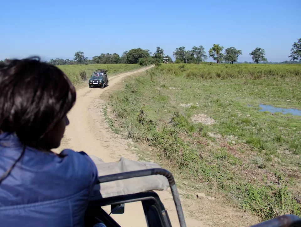 Photo of A Trip to Kaziranga National Park and Majuli- the World's biggest River Island by kritidipta Lahkar