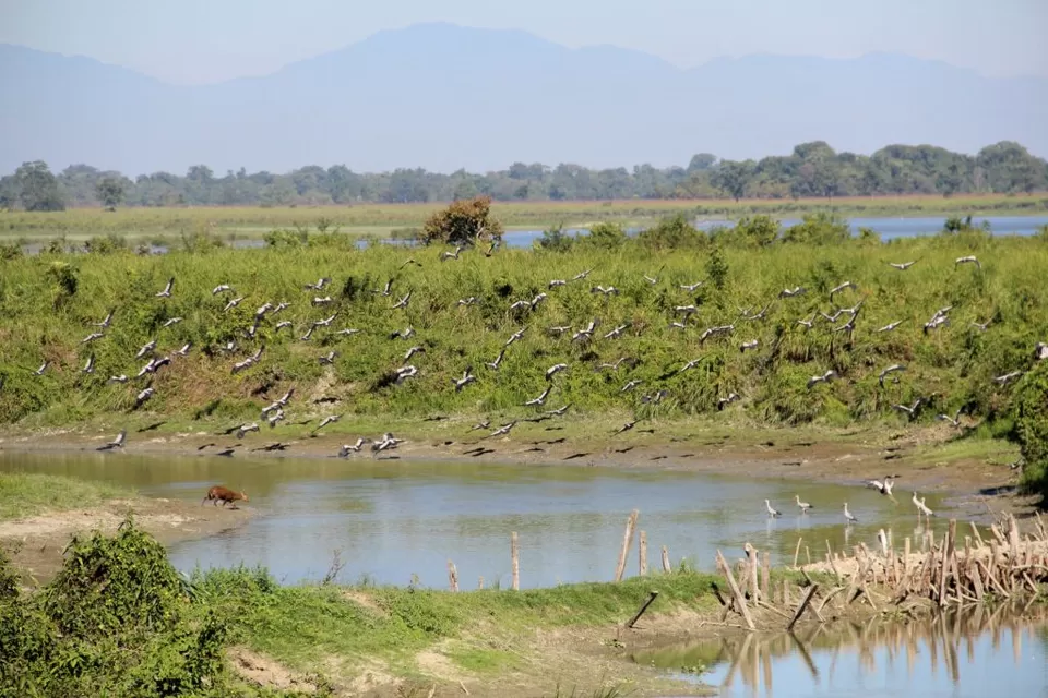 Photo of A Trip to Kaziranga National Park and Majuli- the World's biggest River Island by kritidipta Lahkar