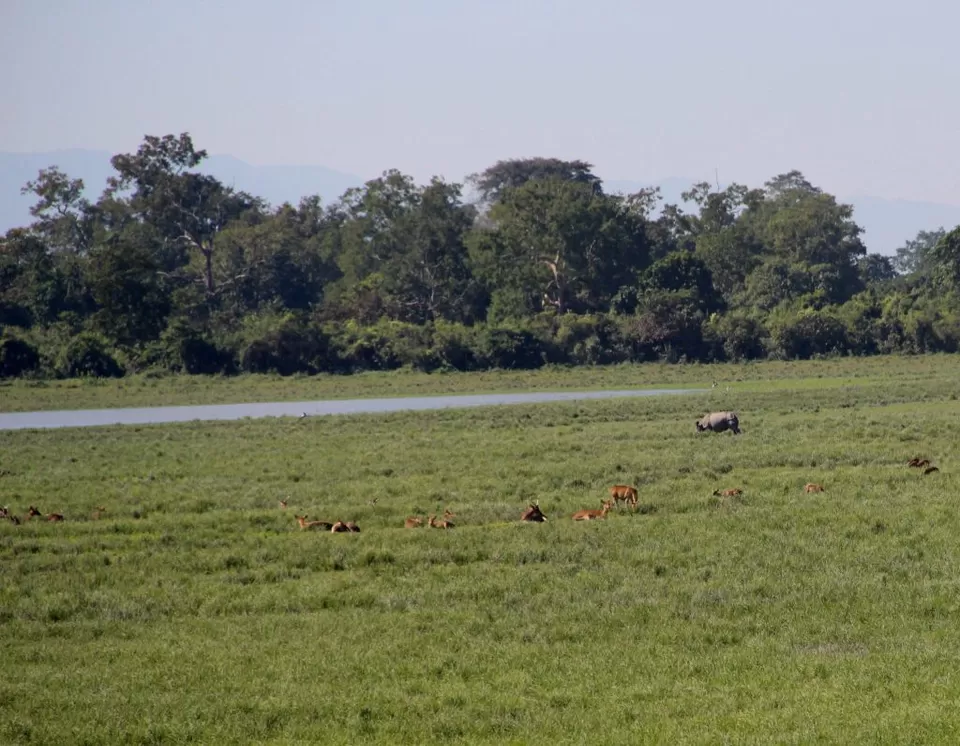 Photo of A Trip to Kaziranga National Park and Majuli- the World's biggest River Island by kritidipta Lahkar