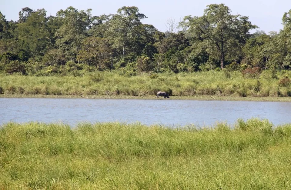 Photo of A Trip to Kaziranga National Park and Majuli- the World's biggest River Island by kritidipta Lahkar