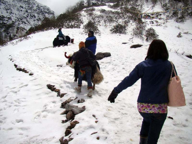 Photo of Sikkim Trip | Two days in the heavenly himalayan destination by kritidipta Lahkar