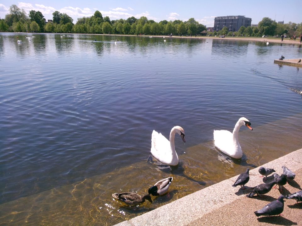 Photo of When the sun comes out in London 8/14 by Dielle D'souza