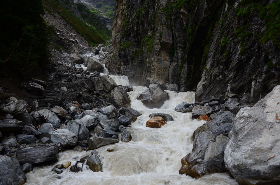 Photo of The Valley of Flowers and Hemkund Sahib Trek: A revitalizing experience 5/27 by Saksham Chopra