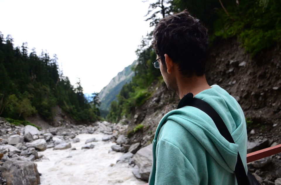 Photo of The Valley of Flowers and Hemkund Sahib Trek: A revitalizing experience 6/27 by Saksham Chopra