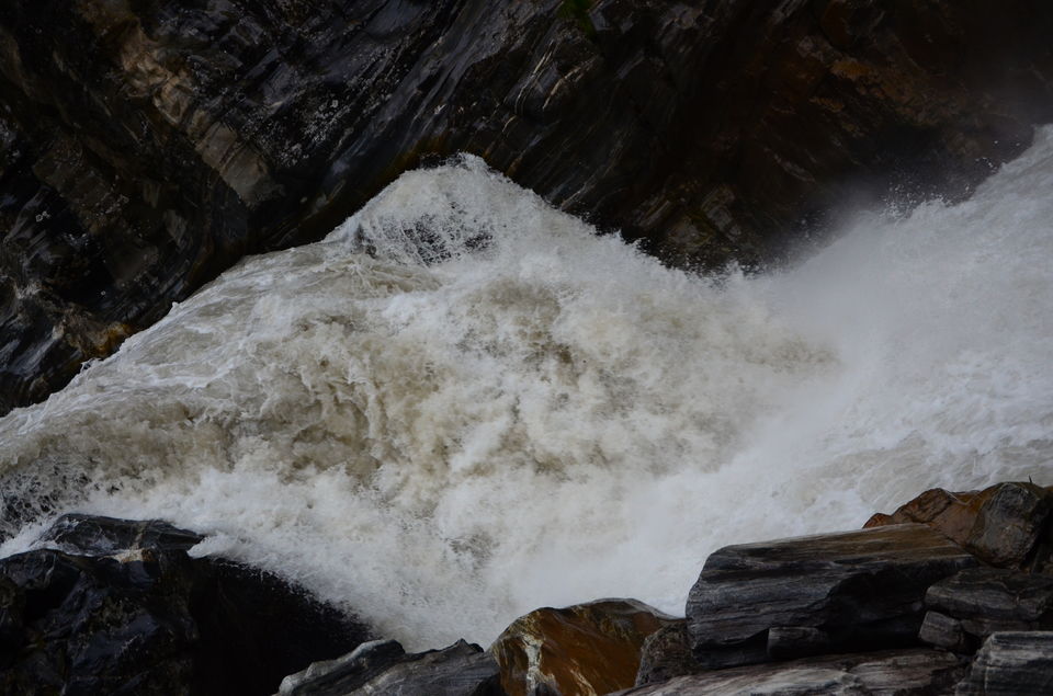 Photo of The Valley of Flowers and Hemkund Sahib Trek: A revitalizing experience 7/27 by Saksham Chopra