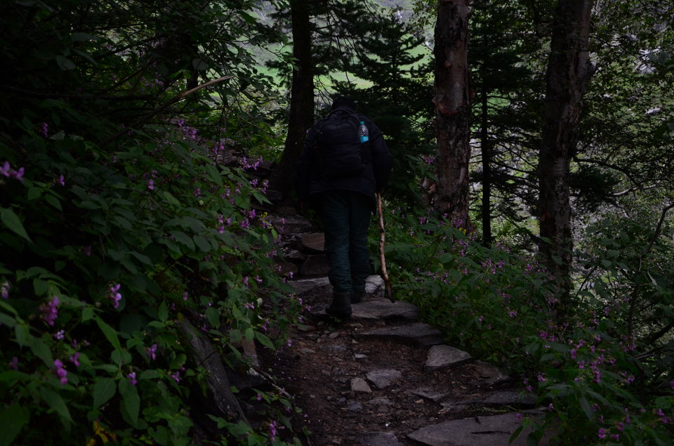 Photo of The Valley of Flowers and Hemkund Sahib Trek: A revitalizing experience 9/27 by Saksham Chopra