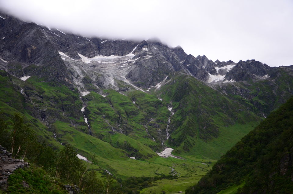 Photo of The Valley of Flowers and Hemkund Sahib Trek: A revitalizing experience 12/27 by Saksham Chopra