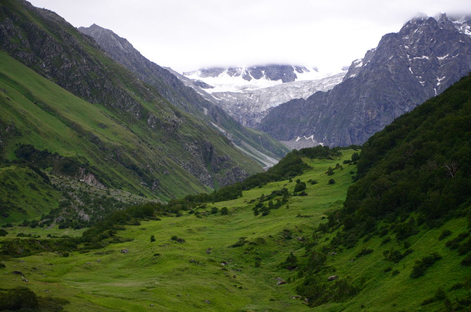 Photo of The Valley of Flowers and Hemkund Sahib Trek: A revitalizing experience 14/27 by Saksham Chopra