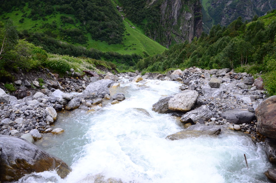 Photo of The Valley of Flowers and Hemkund Sahib Trek: A revitalizing experience 15/27 by Saksham Chopra
