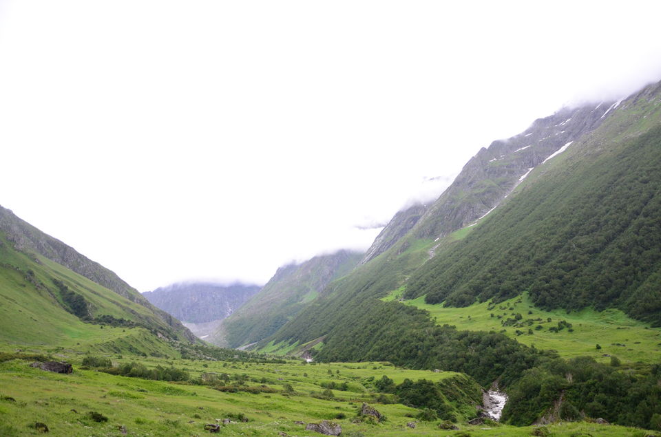Photo of The Valley of Flowers and Hemkund Sahib Trek: A revitalizing experience 25/27 by Saksham Chopra