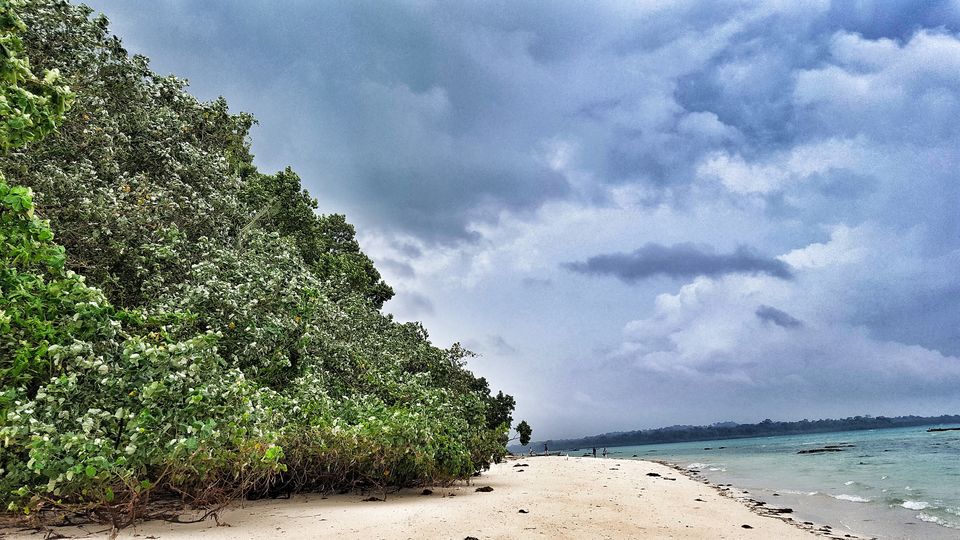 Photo of Neil Island, South Andaman, Andaman and Nicobar Islands, India by Postcard Chronicles