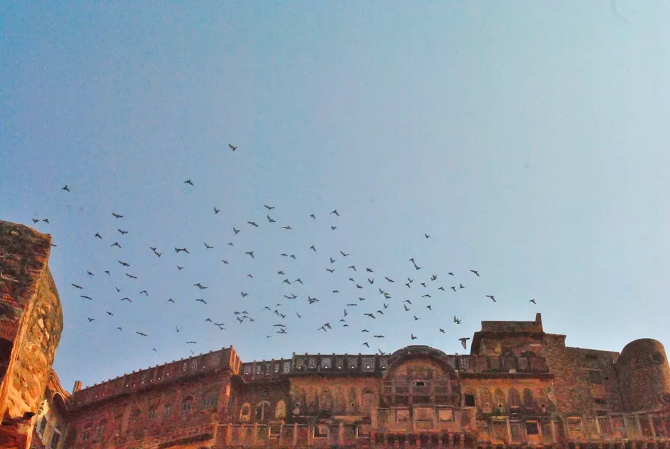 Photo of Mehrangarh Fort (Jodhpur Fort), Jodhpur, Rajasthan, India by Postcard Chronicles