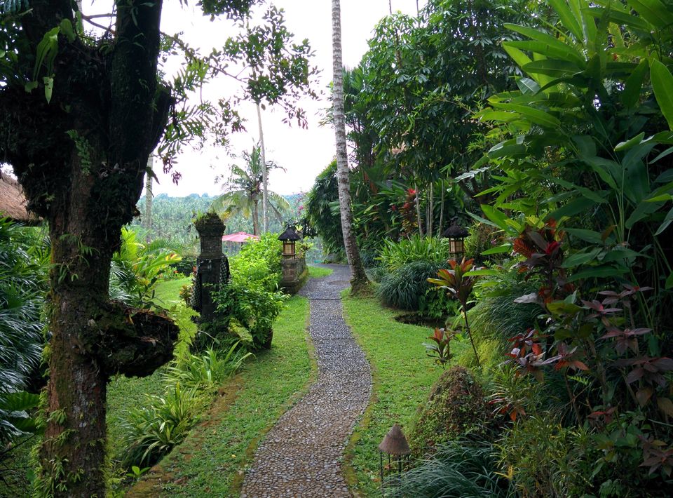 Photo of Bali & Ubud, Indonesia by Nisha Harbola