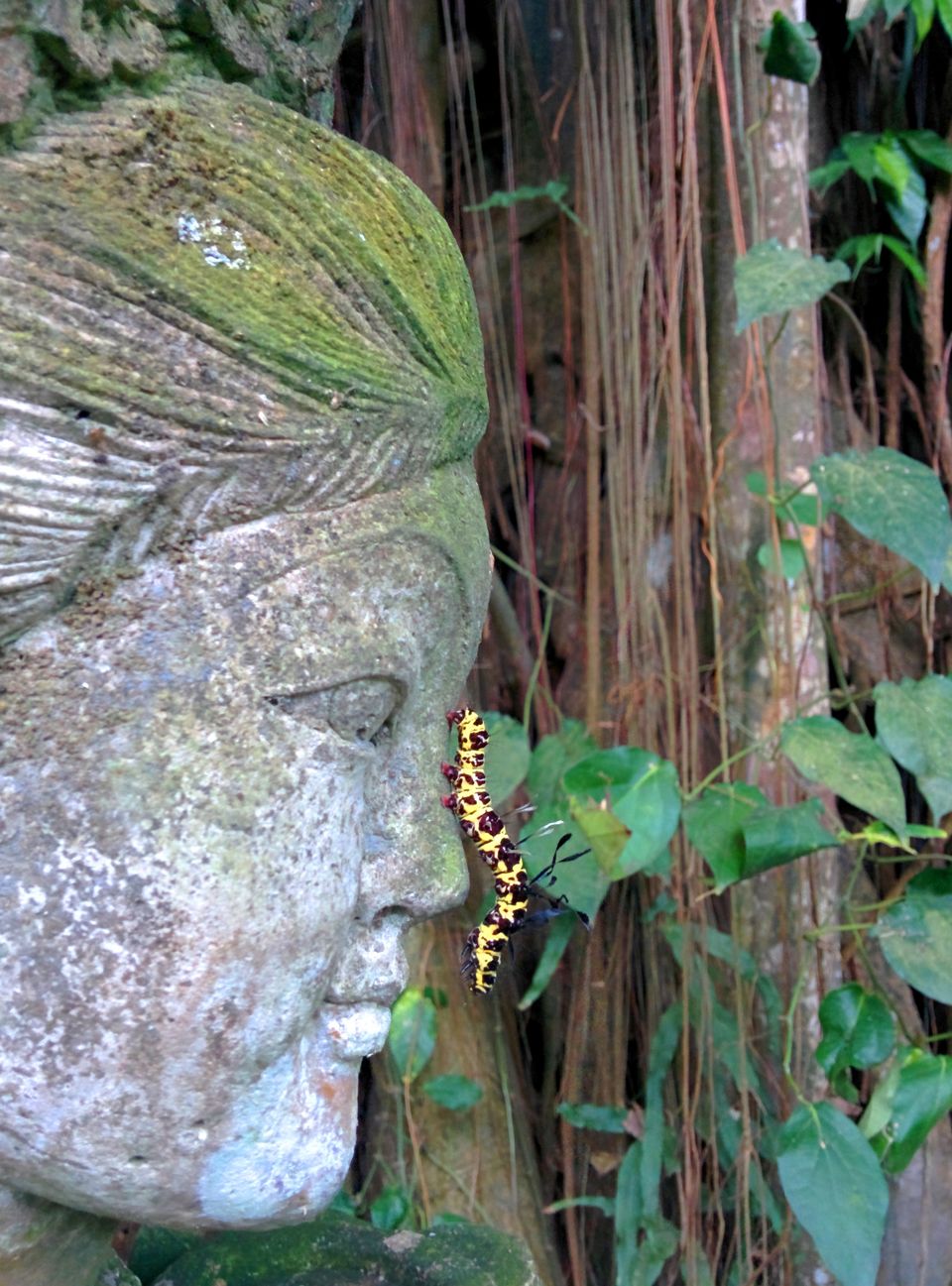 Photo of Bali & Ubud, Indonesia by Nisha Harbola