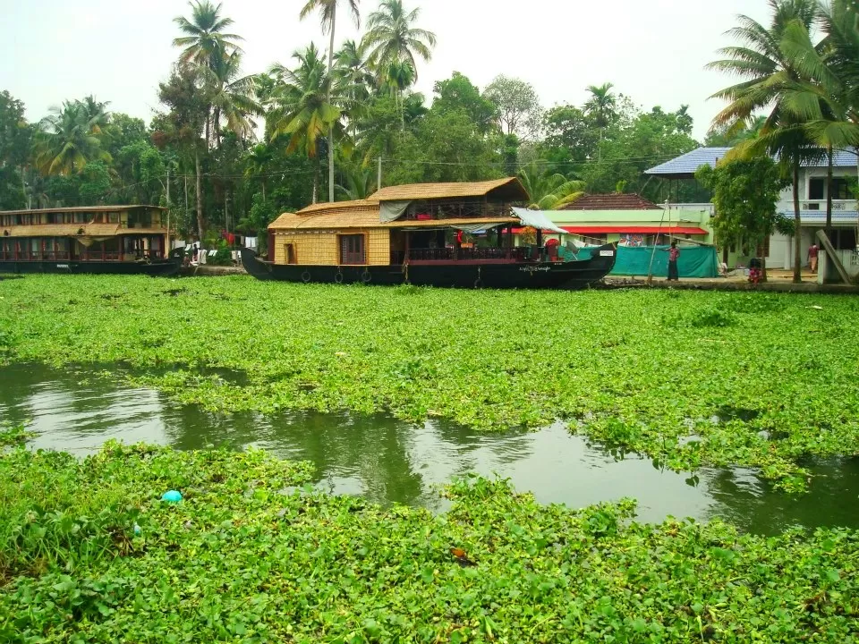 Photo of Kumarakom, Kerala, India by Nisha Harbola