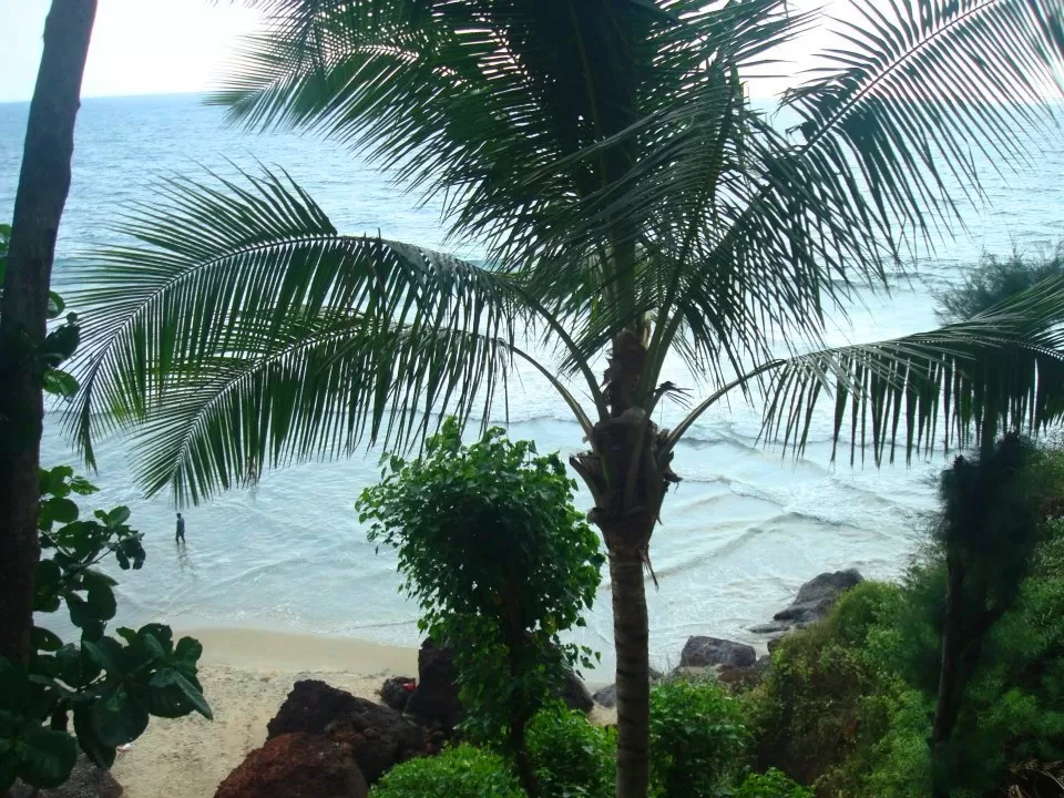 Photo of Varkala, Kerala, India by Nisha Harbola