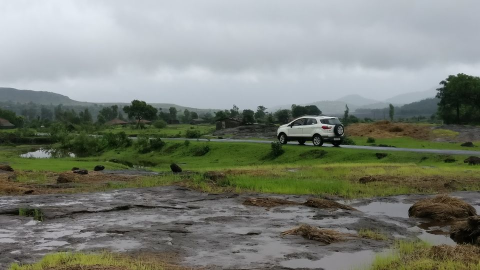 Photo of Bhandardara (near Igatpuri), Western Ghats 6/6 by Nisha Harbola