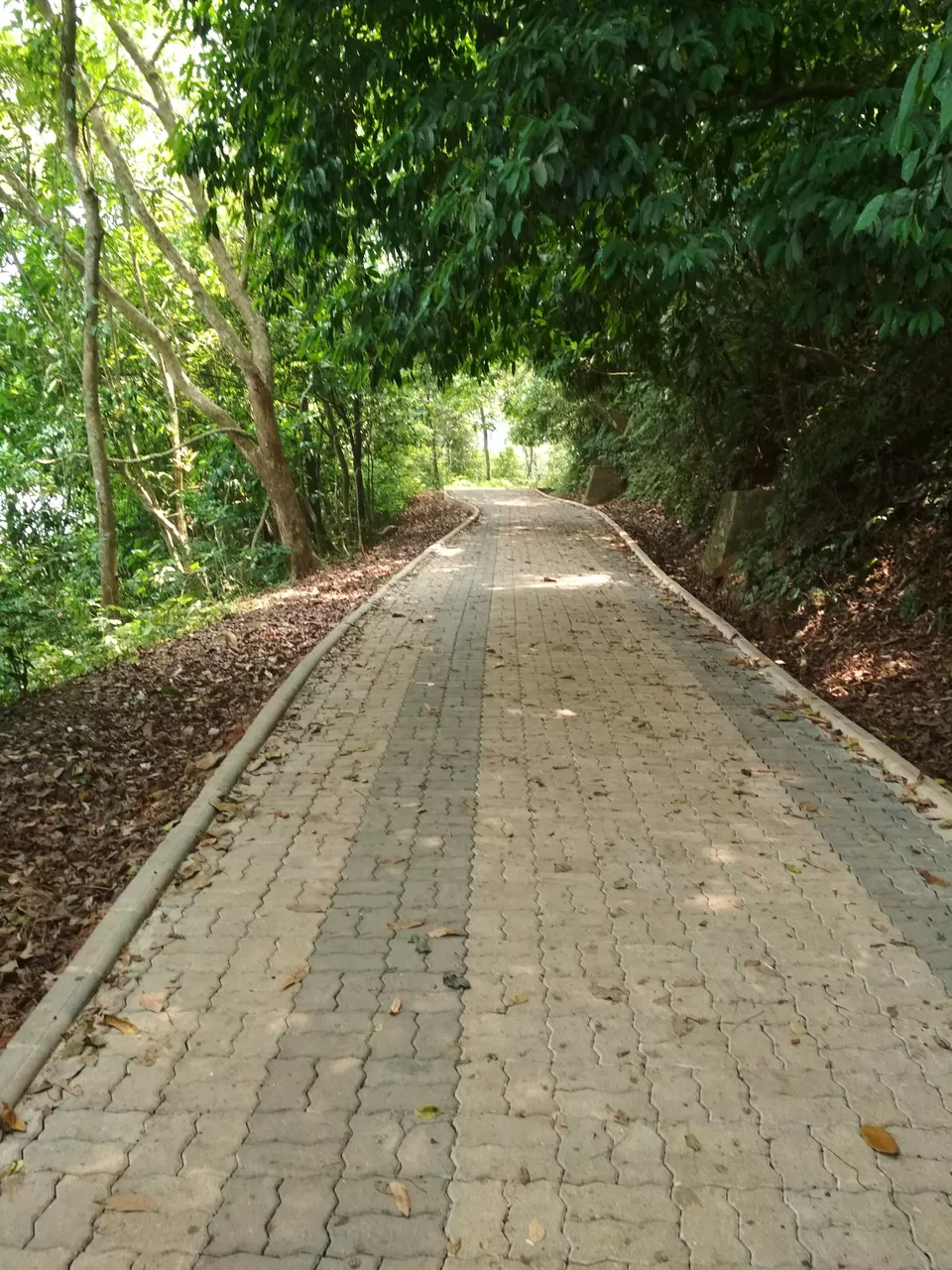 Photo of Pookode Lake, Pookode, Kerala by Nisha Harbola