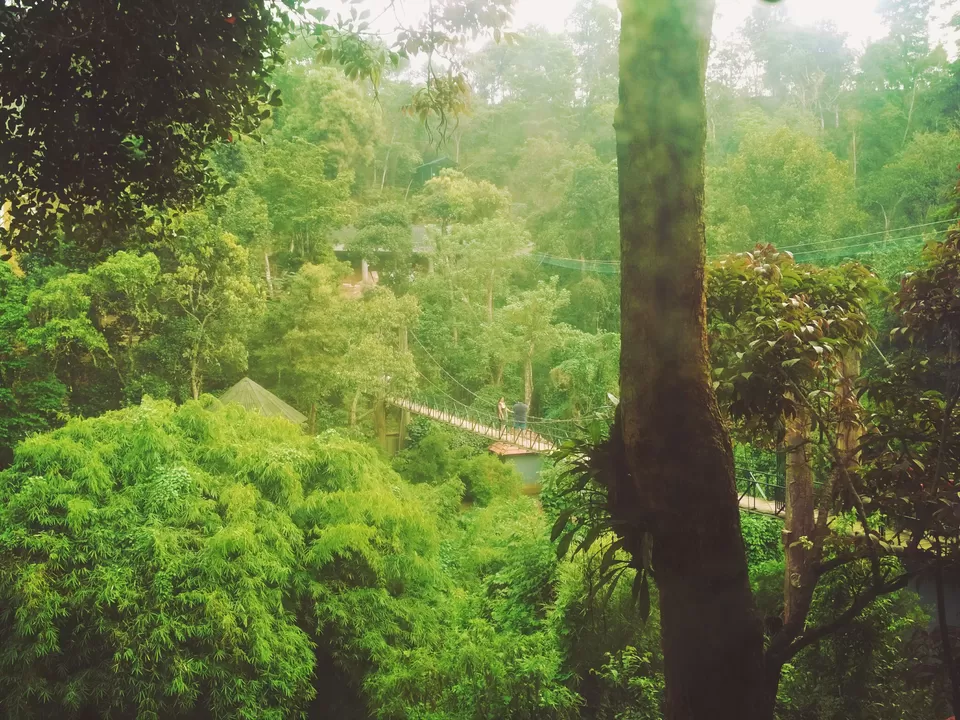 Photo of Vythiri Village Resort, Kerala, India by Nisha Harbola