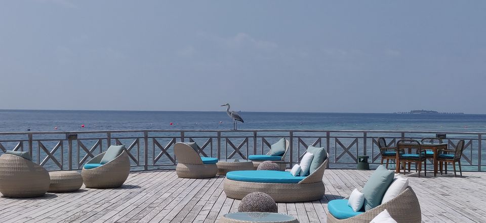 Photo of Bandos, Maldives by Nisha Harbola
