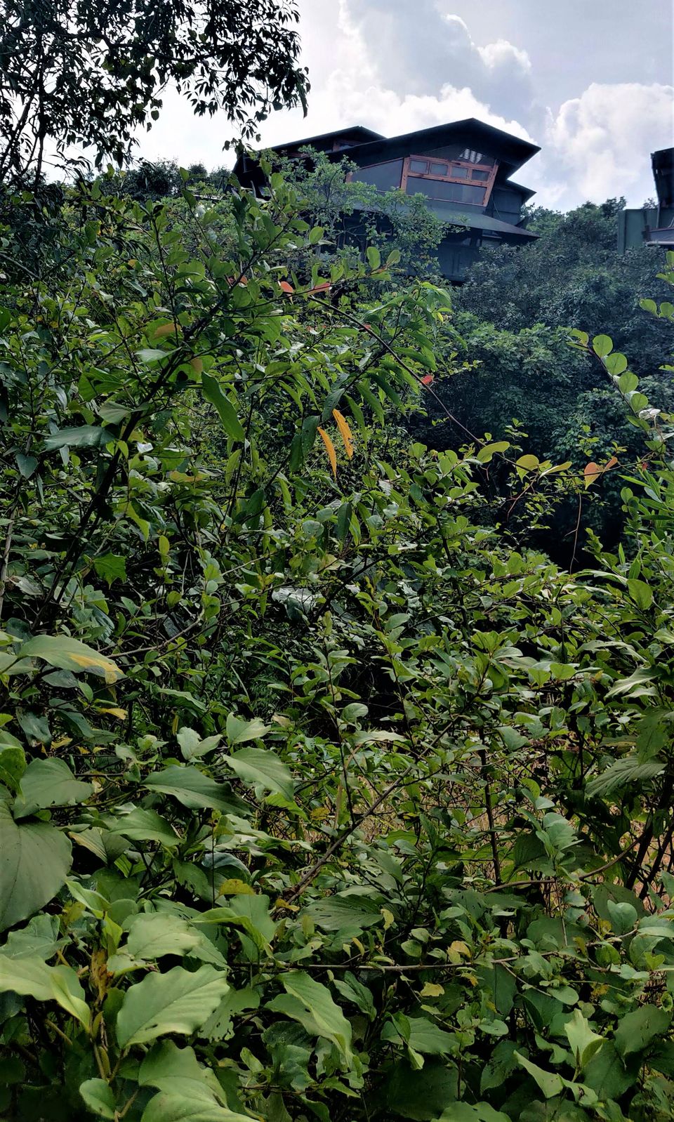 Photo of Lonavala, Maharashtra by Nisha Harbola | 20 countries, 63 states | Delhiite living in Goa