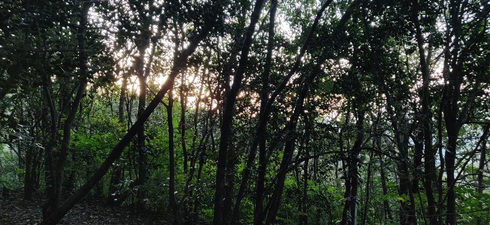 Photo of Lonavala, Maharashtra by Nisha Harbola | 20 countries, 63 states | Delhiite living in Goa
