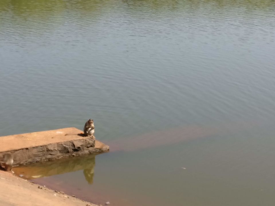 Photo of Charlotte Lake, Matheran, Maharashtra by Nisha Harbola
