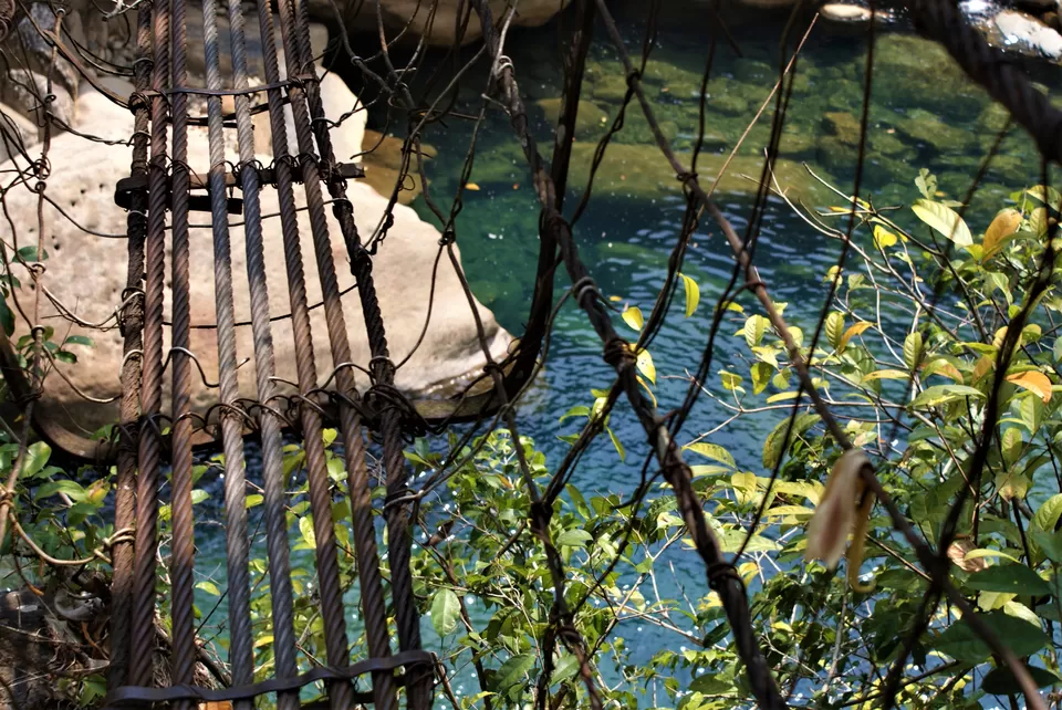 Photo of Nongriat, Meghalaya, India by Nisha Harbola