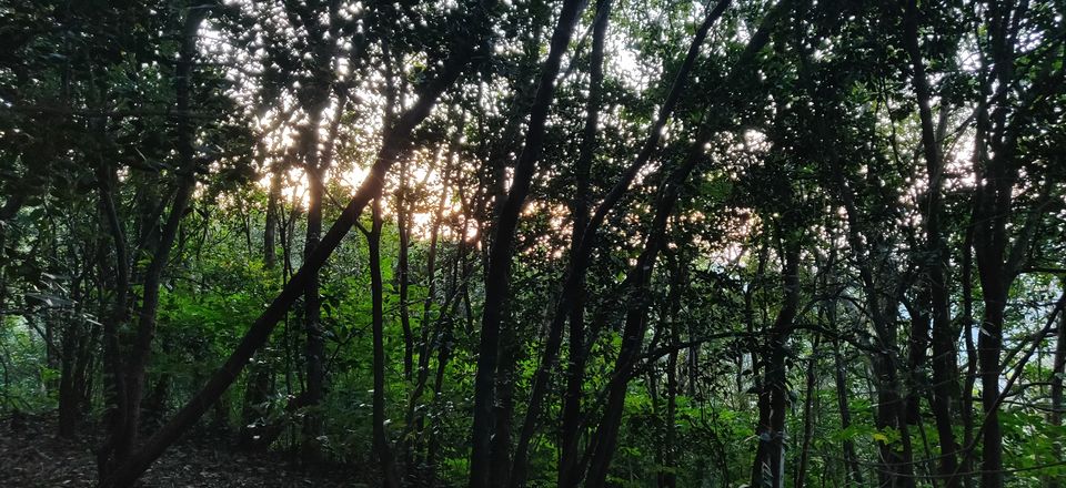 Photo of Wanna Go For A Weekend Trek From Delhi? - Maybe This Is For You! 6/6 by Nisha Harbola