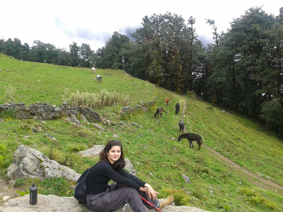 Photo of Wanna Go For A Weekend Trek From Delhi? - Maybe This Is For You! 2/6 by Nisha Harbola