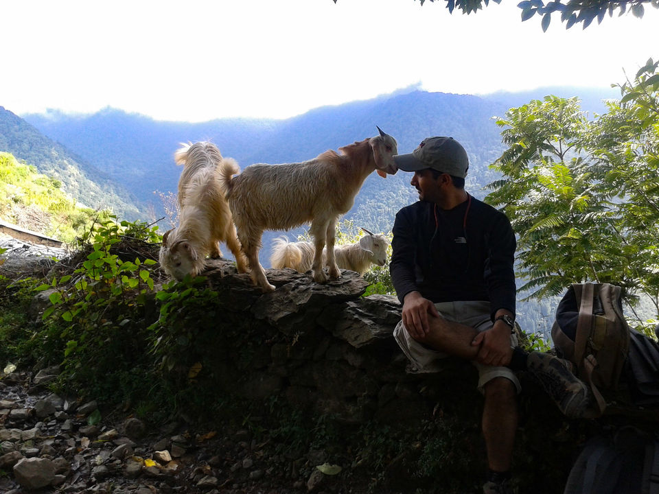 Photo of Wanna Go For A Weekend Trek From Delhi? - Maybe This Is For You! 3/6 by Nisha Harbola