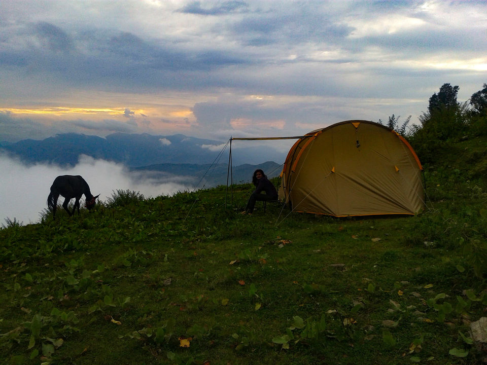 Photo of Wanna Go For A Weekend Trek From Delhi? - Maybe This Is For You! 4/6 by Nisha Harbola