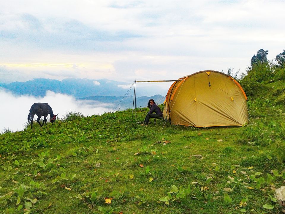 Photo of Wanna Go For A Weekend Trek From Delhi? - Maybe This Is For You! by Nisha Harbola
