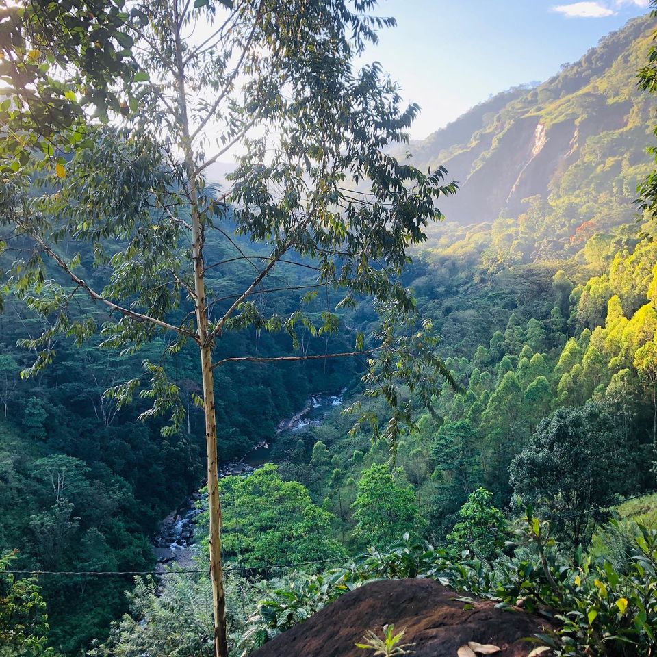 Photo of Majestic Sinhala - Ceylon Diaries 3/13 by Shilpa Hegde