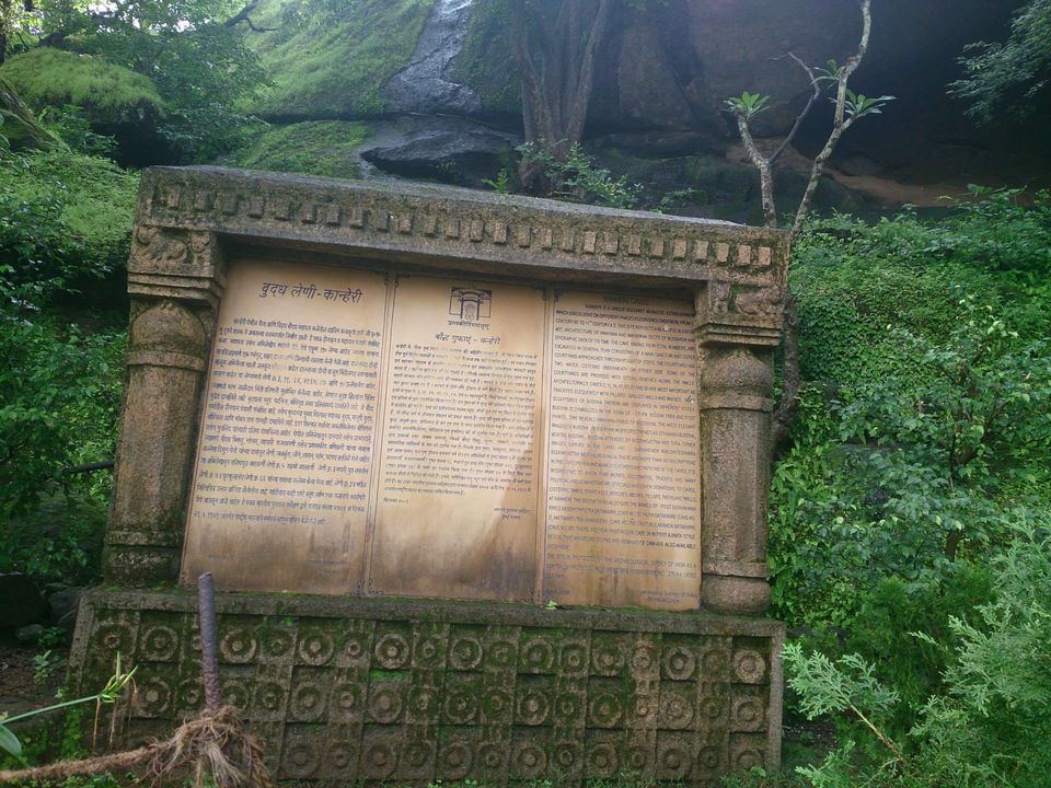 Photo of Jambhulmal, Sanjay Gandhi National Park, 18th August 2013 by Winnie Karnik