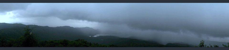 Photo of Jambhulmal, Sanjay Gandhi National Park, 18th August 2013 by Winnie Karnik