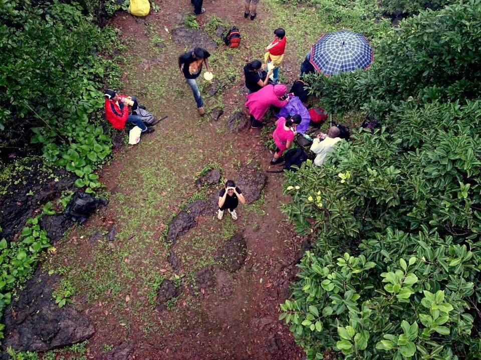 Photo of Jambhulmal, Sanjay Gandhi National Park, 18th August 2013 by Winnie Karnik