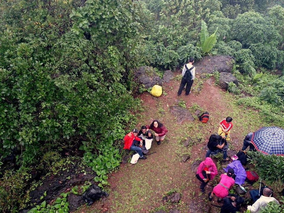 Photo of Jambhulmal, Sanjay Gandhi National Park, 18th August 2013 by Winnie Karnik